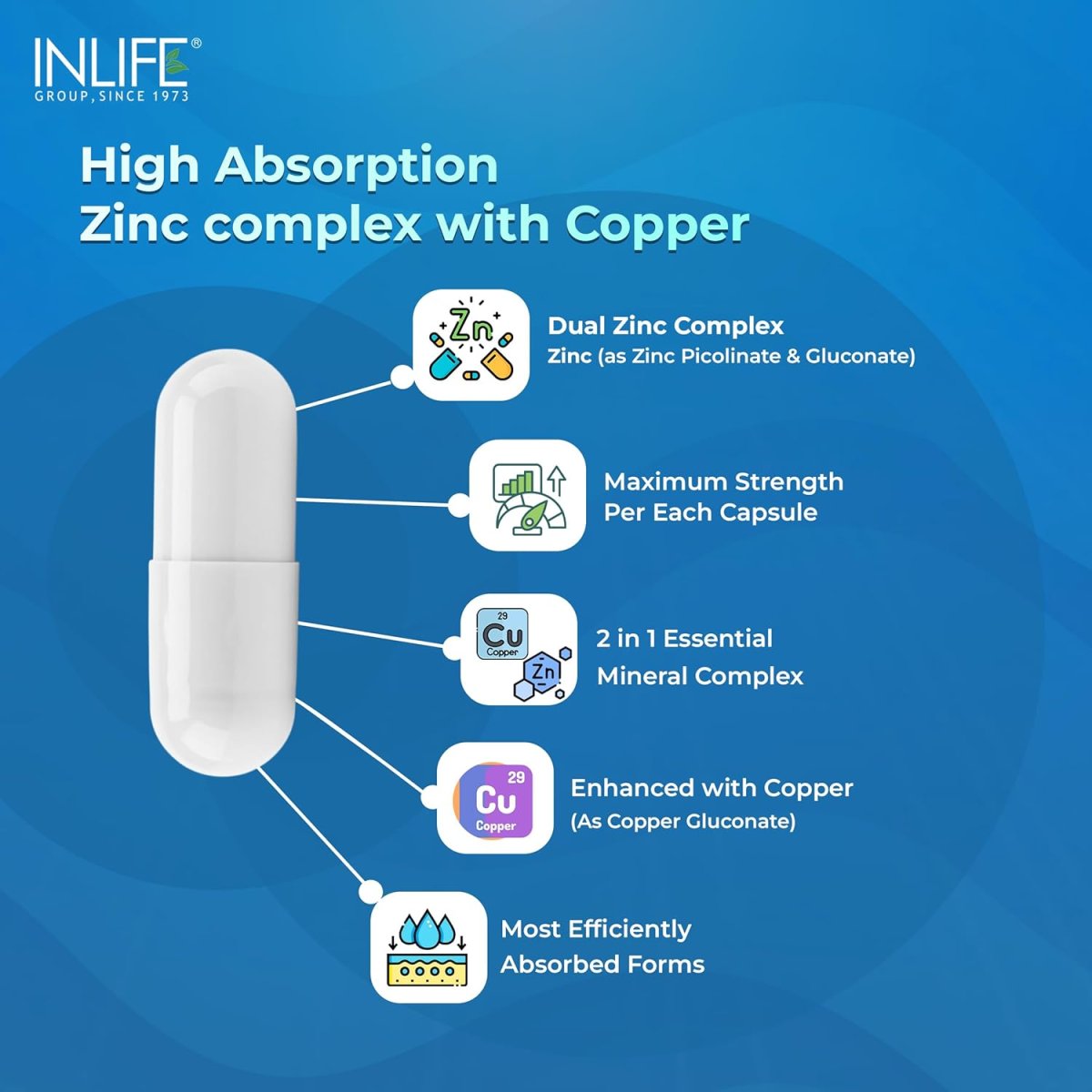 INLIFE Zinc Picolinate Supplements with Copper Gluconate Complex for Men and Women