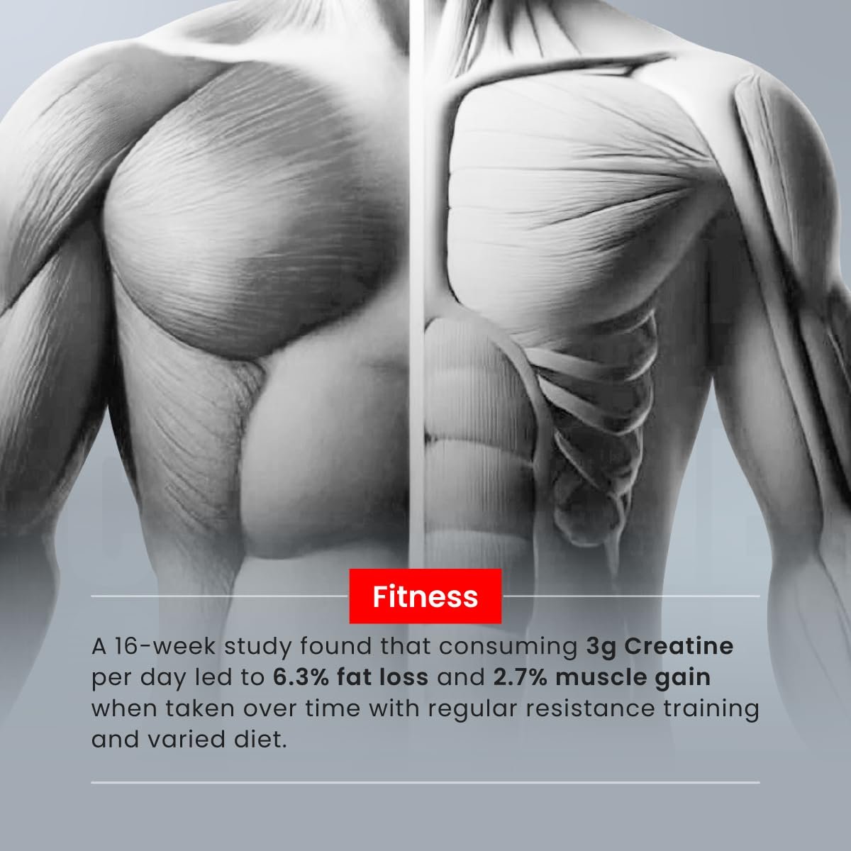 Bigmuscles Nutrition Creatine 155g Sex On The Beach Flavour